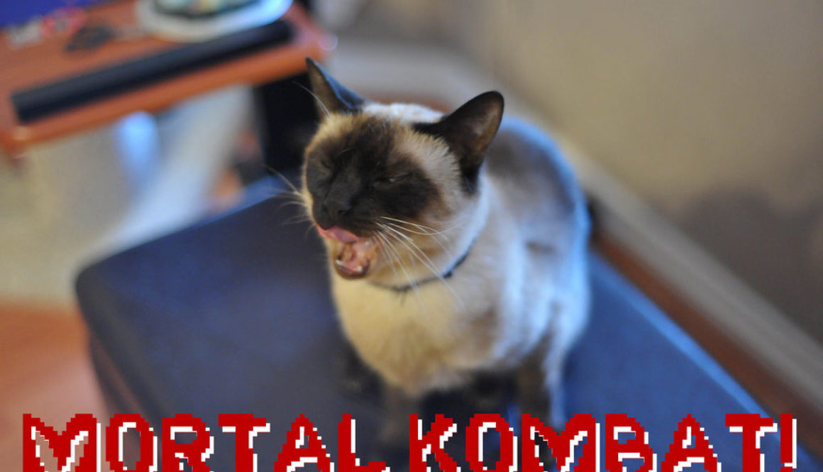 A cat yowling with the words Mortal Kombat! below it, published as part of 